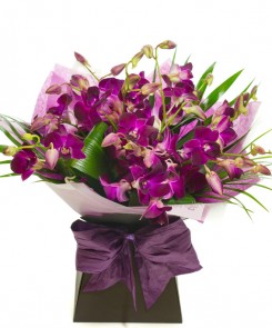 PINK DENDROBIUM ORCHID HAND TIED