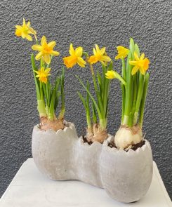 Tete e tete egg trio