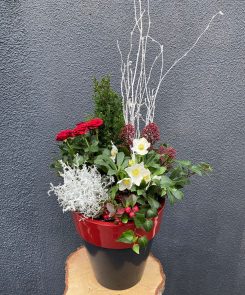 Red and White luxury planter