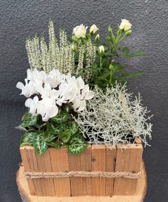 white rustic wooden trough planter