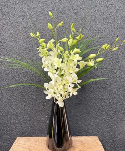 white orchids in ceramic vase
