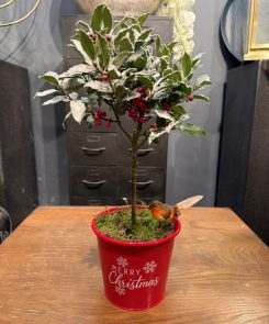 Snowy Holly Tree Planter