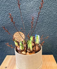 bridal crown hat box