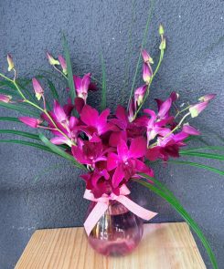 hot pink orchids in pink vase