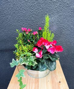 Coral pink zinc planter