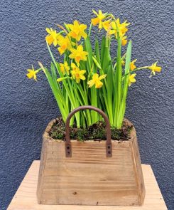 Tete-a-tete Wooden handbag planter