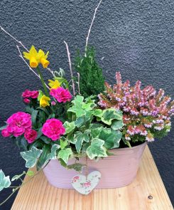 Pink Trug planter