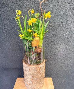 Tete-a-tete bark planter