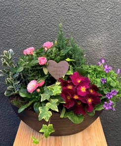 Violet Mum Planter
