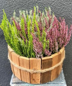 mixed heather rustic planter