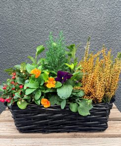 Autumnal Mixed Planter