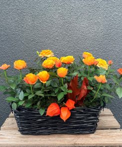 Orange Rose Planter